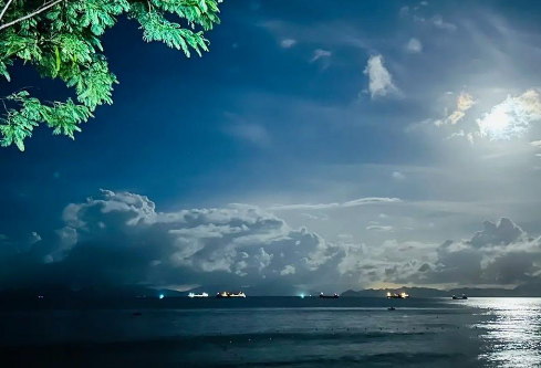 1767542055731780.png image.png