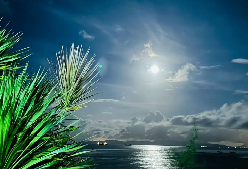 1767542221653431.png image.png