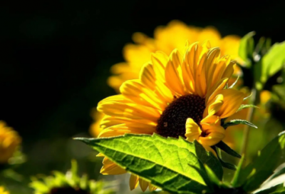 ​2026年经典语录伤感107句