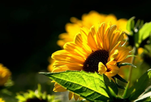 1767544211371189.png image.png