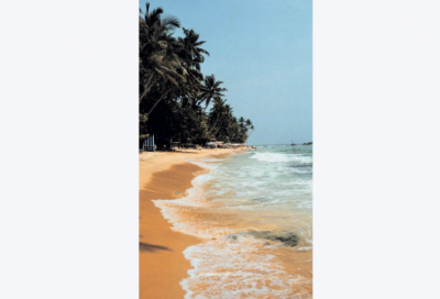 ​一起来看流星雨语录55句