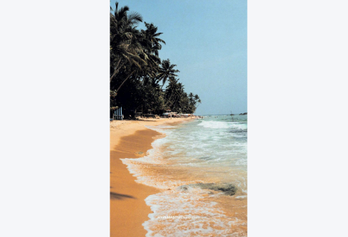 1767544376858008.png image.png