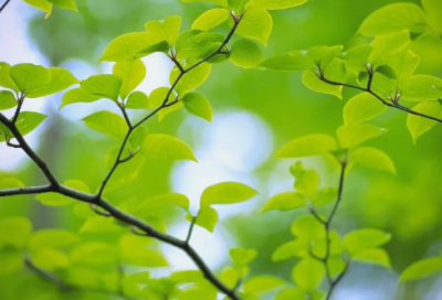 ​唯美伤感的语录说说