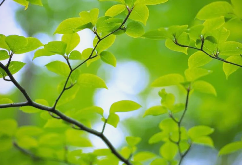 1767544542564379.png image.png