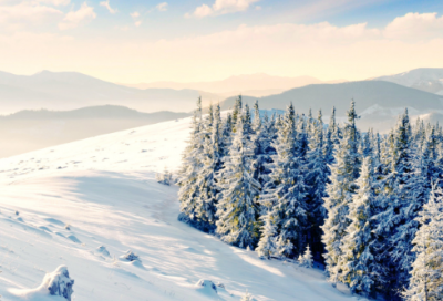 ​2026年简洁的正能量励志的语录