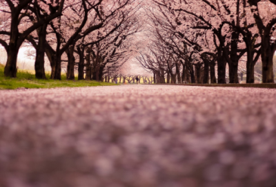 ​相关于秋冬伤感语录 大约在冬季伤感语录