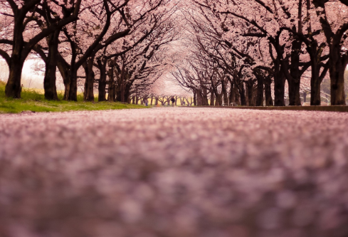 1767546365903861.png image.png