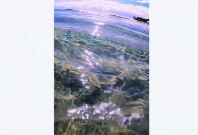 ​适合在520表白的感人语录 520文案句子