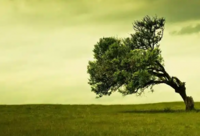 ​特别适合女生的情感语录 适合夜听的情感语录