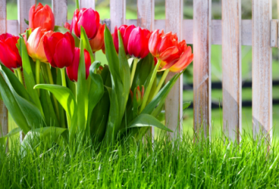 ​2026年有关每日晚安心语语录