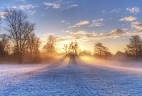 1767548023955713.png image.png