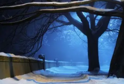 ​简短的唯美情感语录