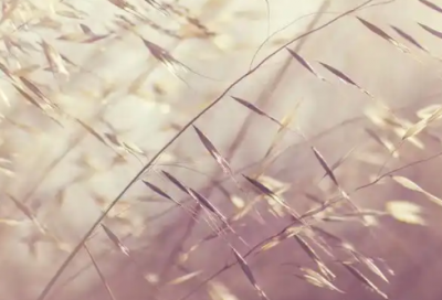 ​请回答1988语录