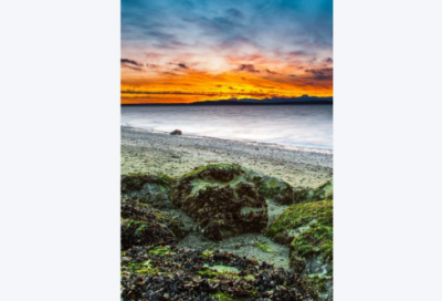 ​适合发给朋友的早安语录(适合发朋友圈的早安语)