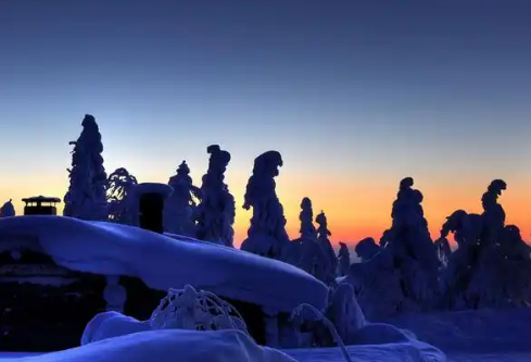 1767549847884281.png image.png