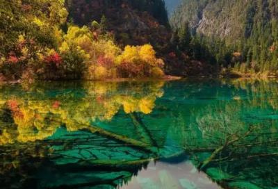 ​鸡汤经典语录鼓励人的句子 灌鸡汤的句子