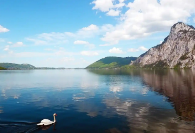 ​万圣节幽默搞笑语录