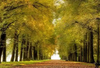 ​励志鸡汤經典早安语录 女人励志早安语录简短