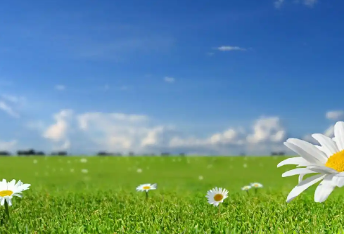 1767589919904049.png image.png