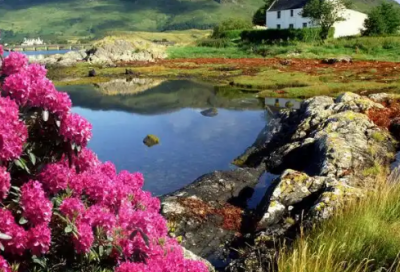 ​快手里热门的情感语录