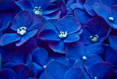 ​声息经典语录67句