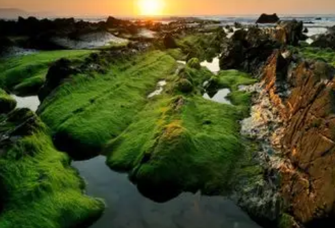 1767592738598358.png image.png