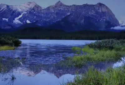 ​名人爱情语录