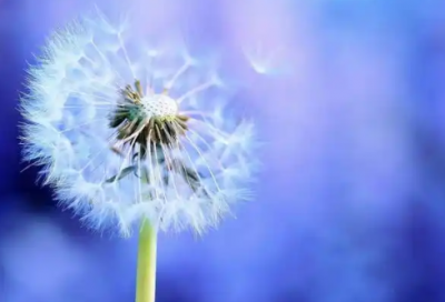 扎心情感语录大全