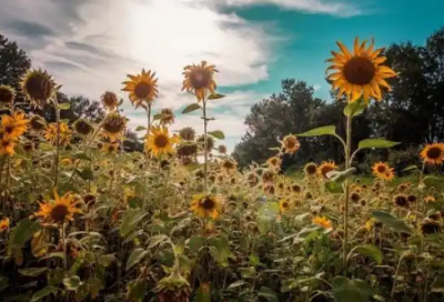 ​80后怀旧伤心语录
