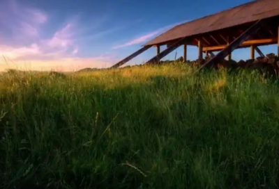 2026年新的一天开始最经典的语录