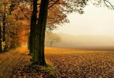 ​有关中考冲刺的励志英文语录(中考前的励志名言英文)