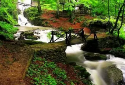 ​职场正能量鸡汤语录 职场正能量鸡汤