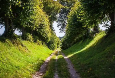 ​赢在中国马云语录77句