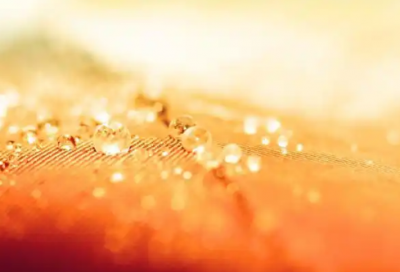 ​佛家人生感悟语录