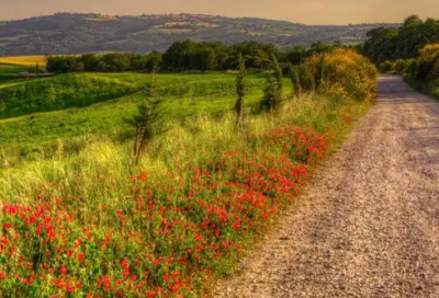 ​目标清晰职场语录86句