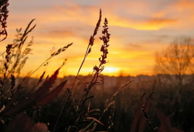 ​时尚语录82句