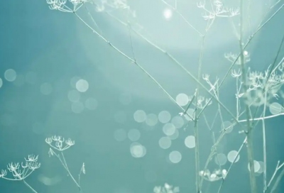 ​扶摇经典语录81句