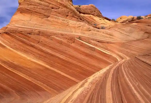 1767639423383294.png image.png