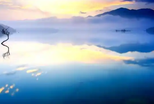 1767645560560029.png image.png