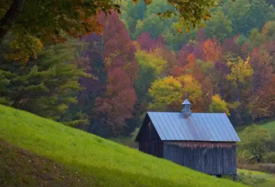 ​2026年早安励志成功语录 早安励志语录
