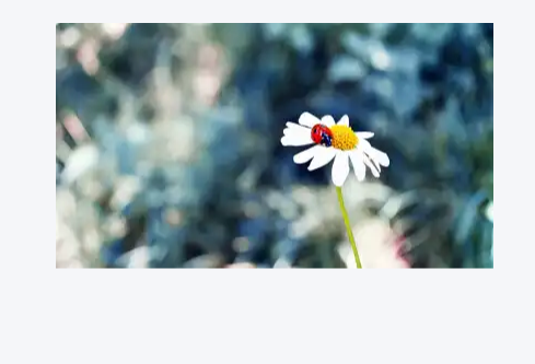 1767648545595210.png image.png