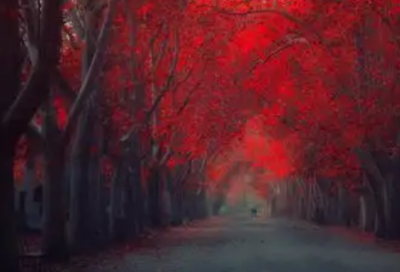 ​吸血鬼骑士经典语录63句