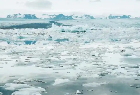 1767648877319057.png image.png