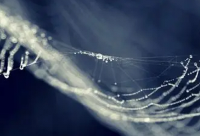 ​情句大全经典语录 情句大全经典语录长