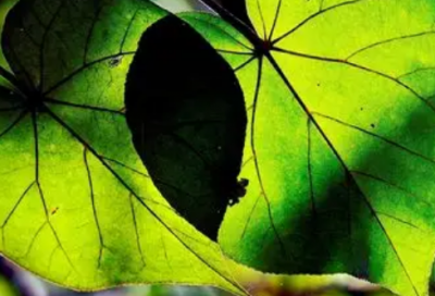 ​伤感扎心说说语录2026年 伤感扎心语录