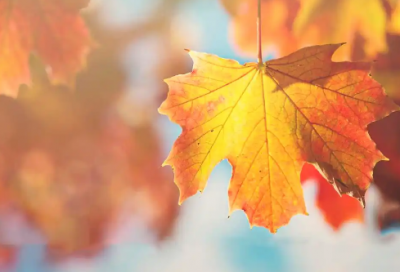 ​励志鸡汤的正能量语录男生(早上励志正能量语录)