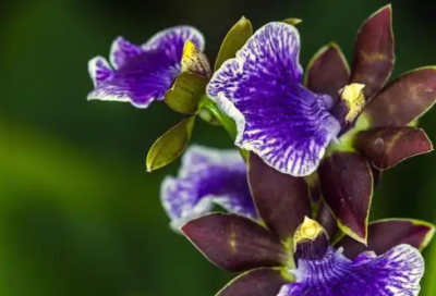 ​qq空间留言语录