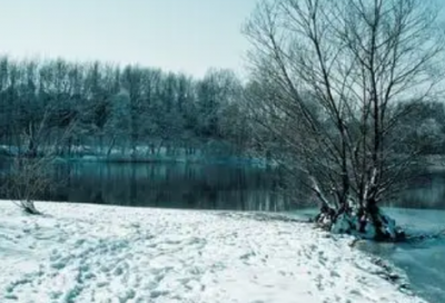 ​美得让你心醉的情话语录2026精选 艳美绝俗的经典爱情语录句子