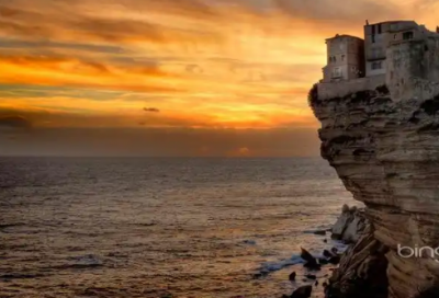 ​一只特立独行的猪经典语录63句