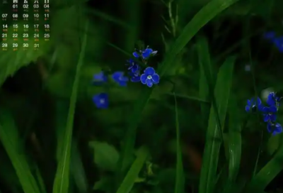 ​佛学名句经典语录 关于佛语经典语录大全